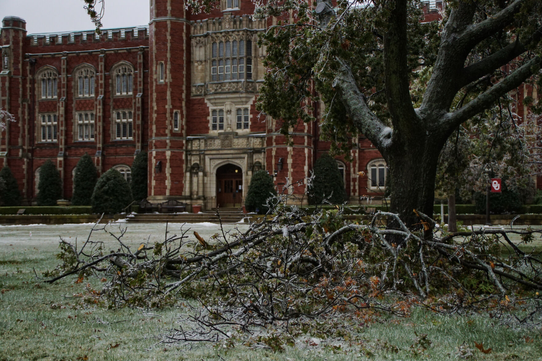 Broken tree